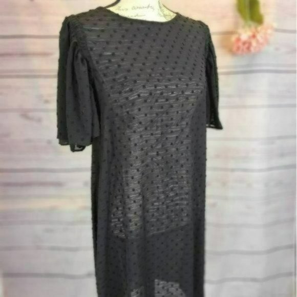 Anthropologie Dresses & Skirts - ♡3/$30♡ Polka Dot Sheer Embroidered Mini Dress